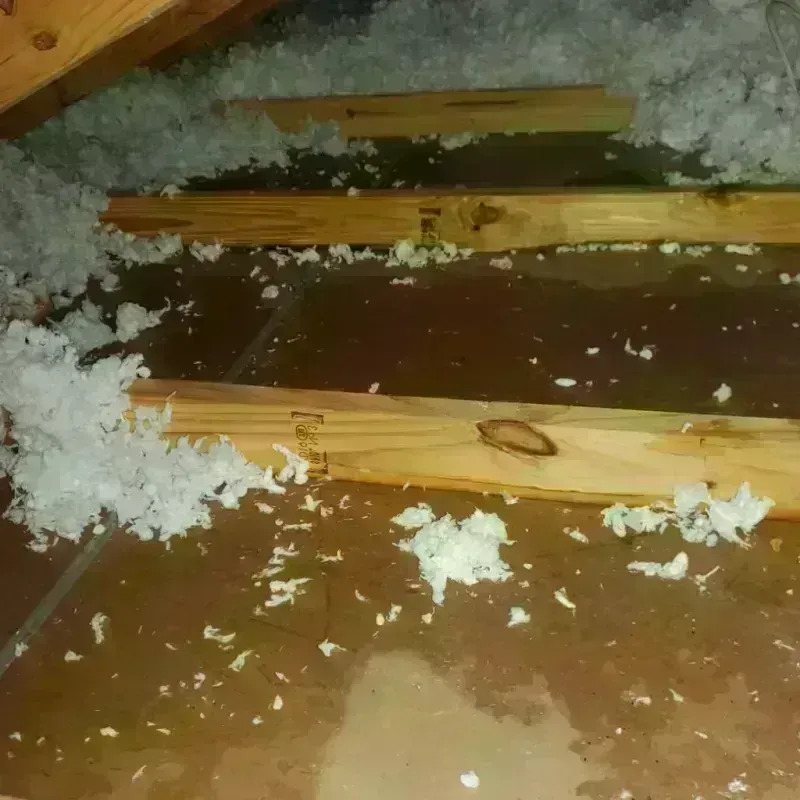 Attic Water Damage in Harris County, GA