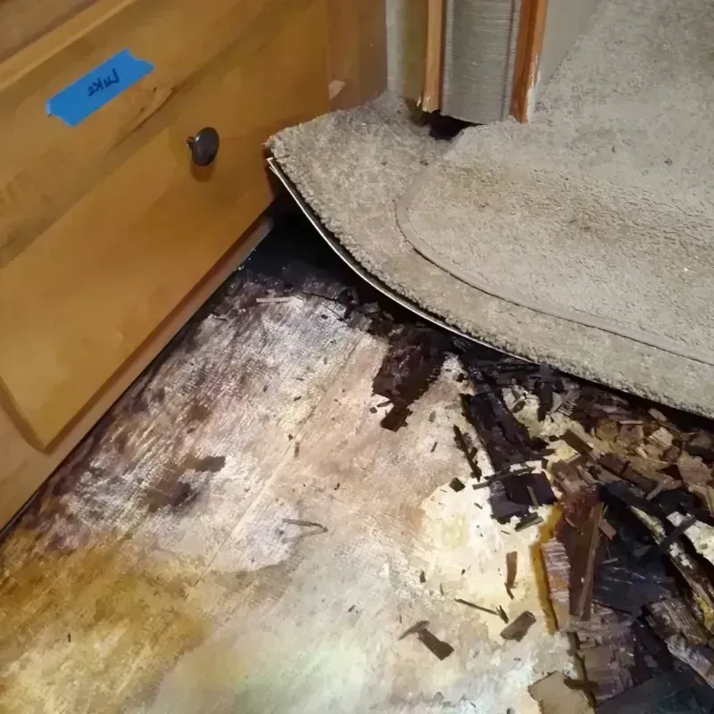 Wood Floor Water Damage in Harris County, GA